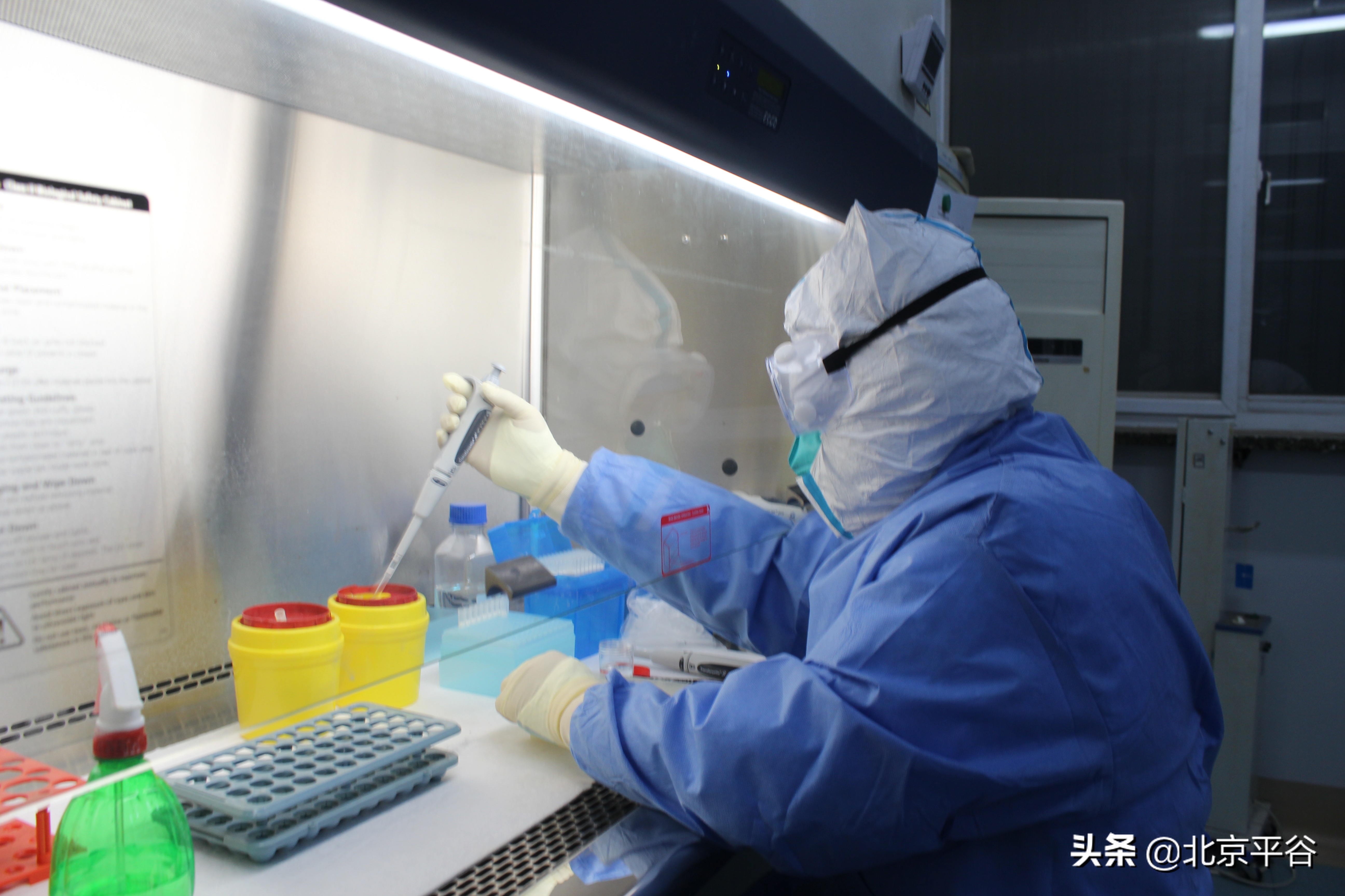 降“级”不降“防” 平谷卫健系统持续疫情防控不松劲