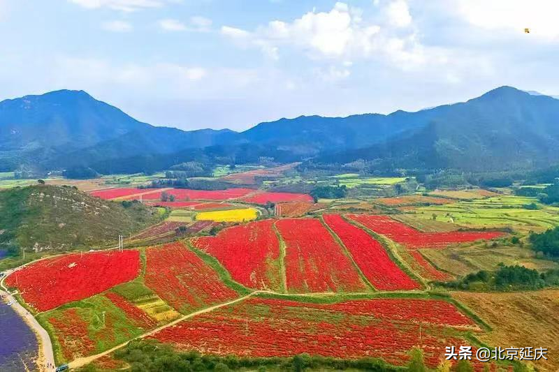 延庆不断推动区域休闲农业高质量发展，努力实现乡村振兴