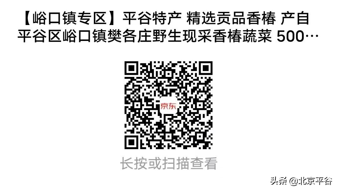 平谷香椿文化节线上举办