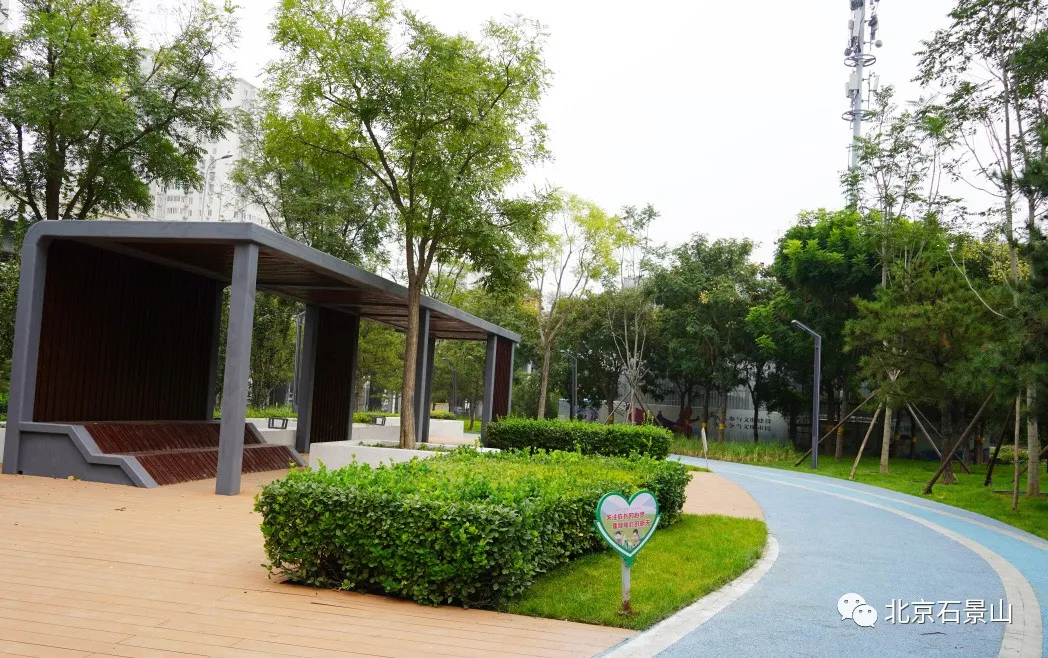 开窗见景、出门见绿！阜石路沿线绿化景观精美亮相！