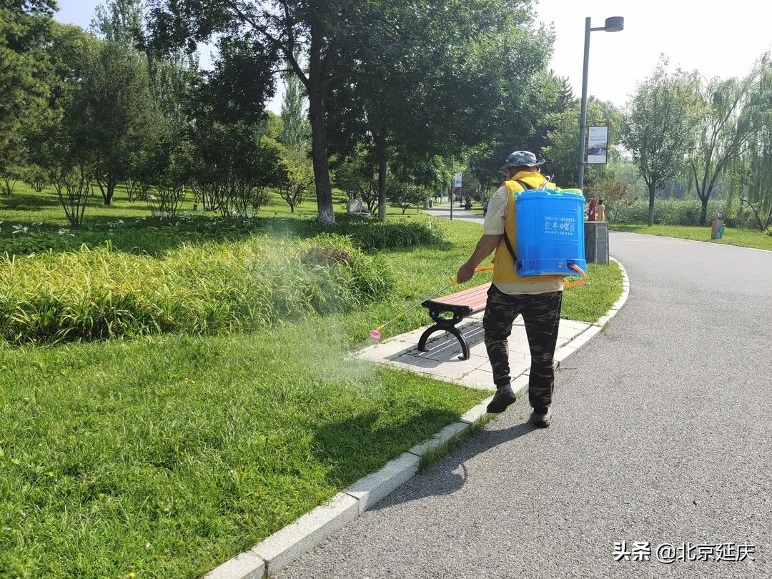 扫码登记、严格消杀……延庆多举措落实公园疫情常态化防控工作