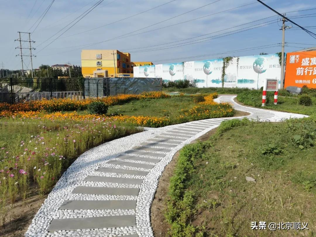 【创城有我】空港街道让昔日排水沟变身休闲打卡地~