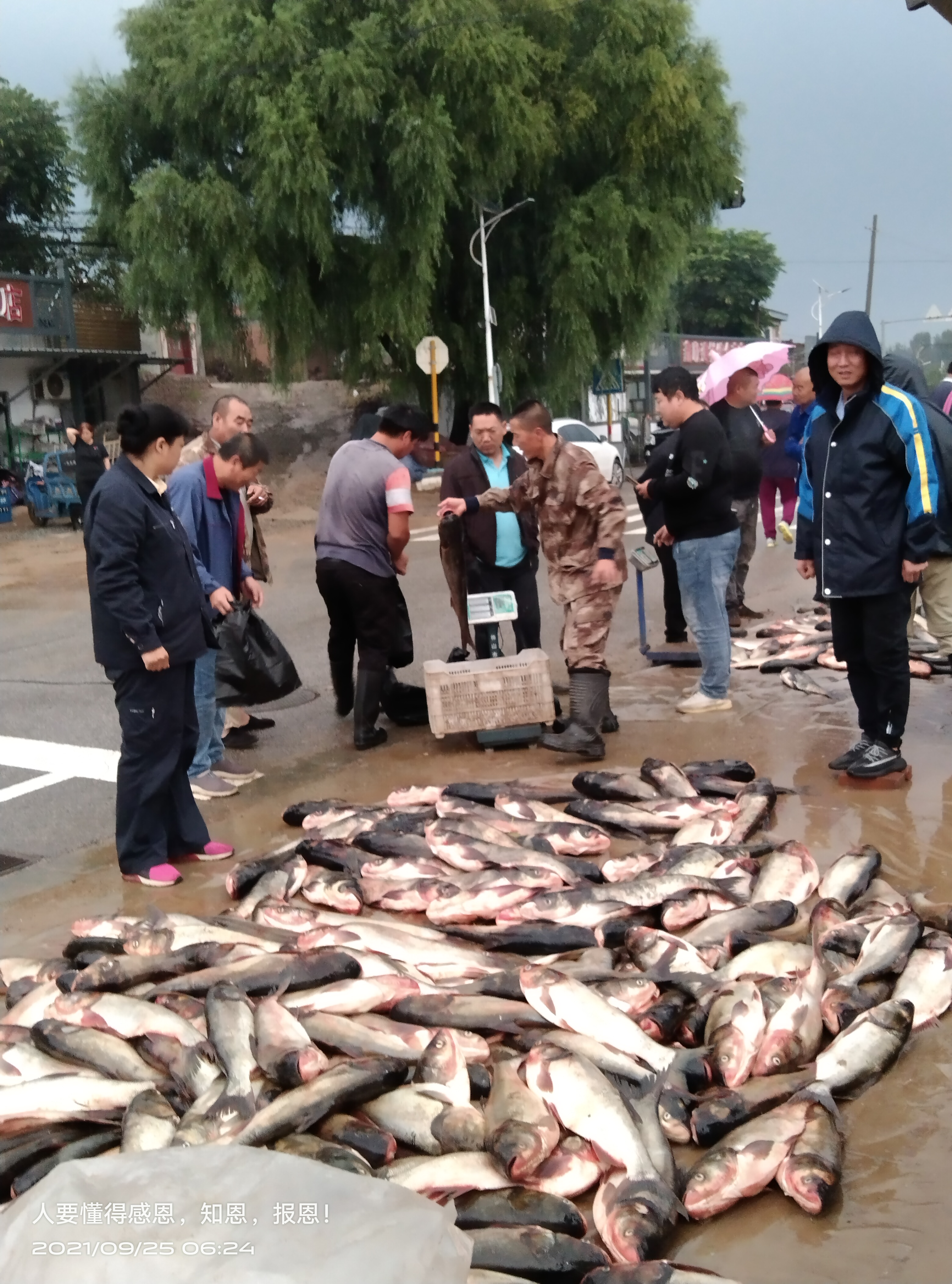 不老屯镇“鱼跃人乐” 迎来“开渔季”