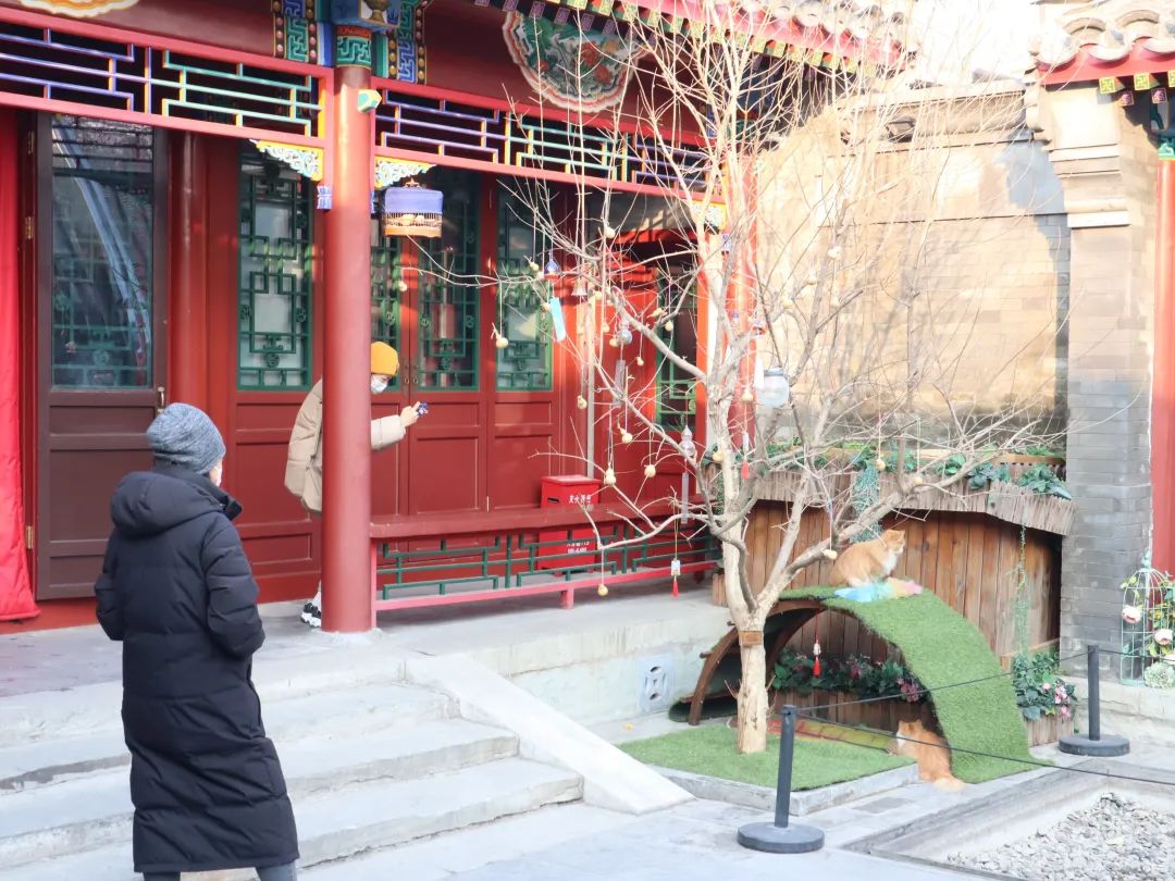 小葫芦，大福禄！胡同博物馆，别样葫芦展引来市民打卡