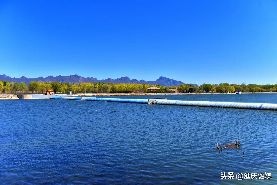 蓝天绿水映延庆 盎然春色入画来~