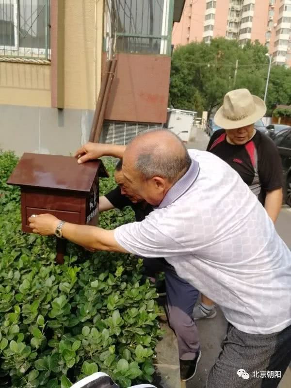 特靠谱、有干劲、有才华……这些词形容咱朝阳群众，很合适！