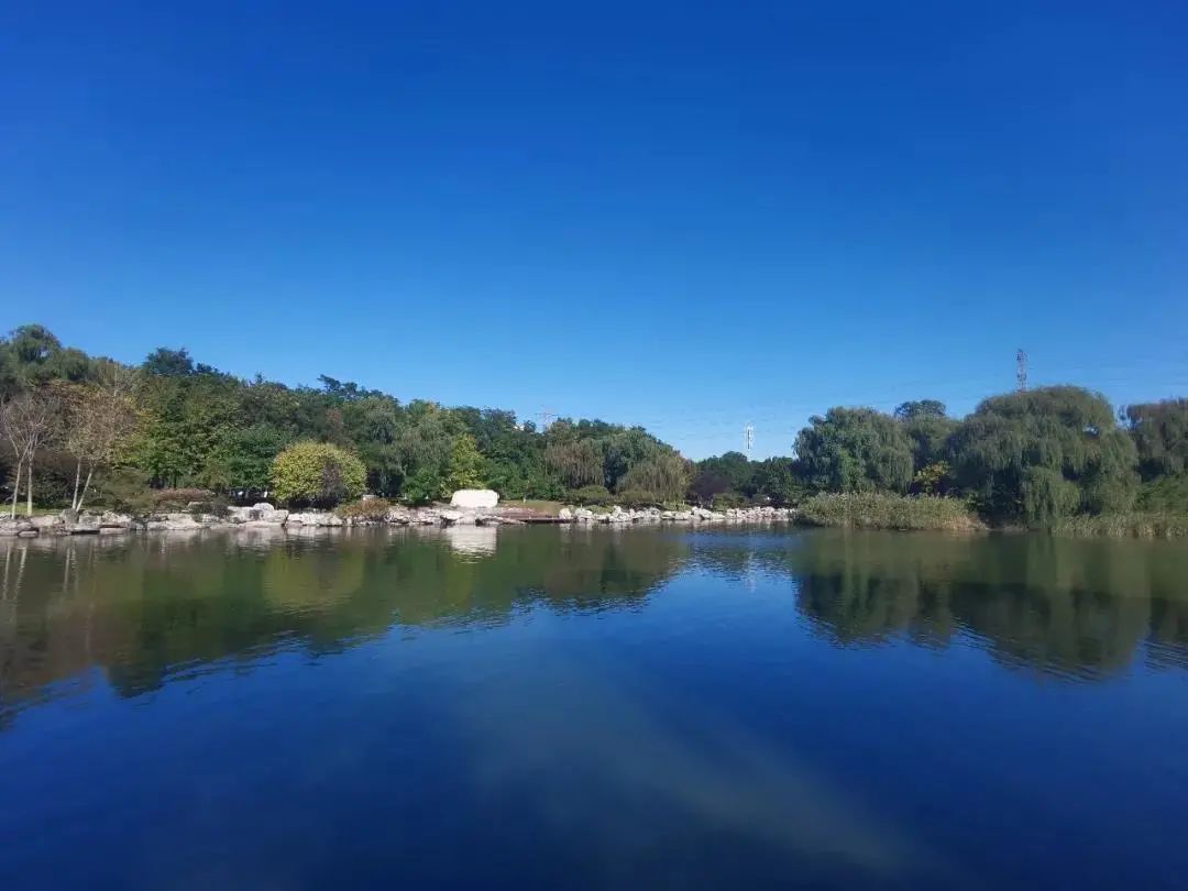 2021年度北京市优美河湖结果出炉，朝阳这三条河湖上榜！