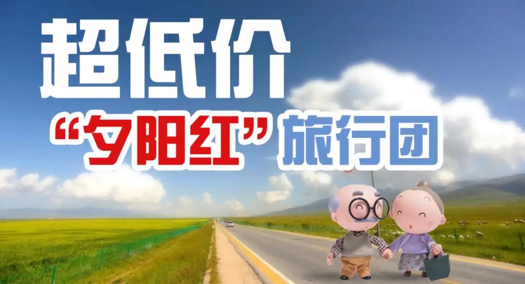 打击整治养老诈骗，守护百姓“养老钱”