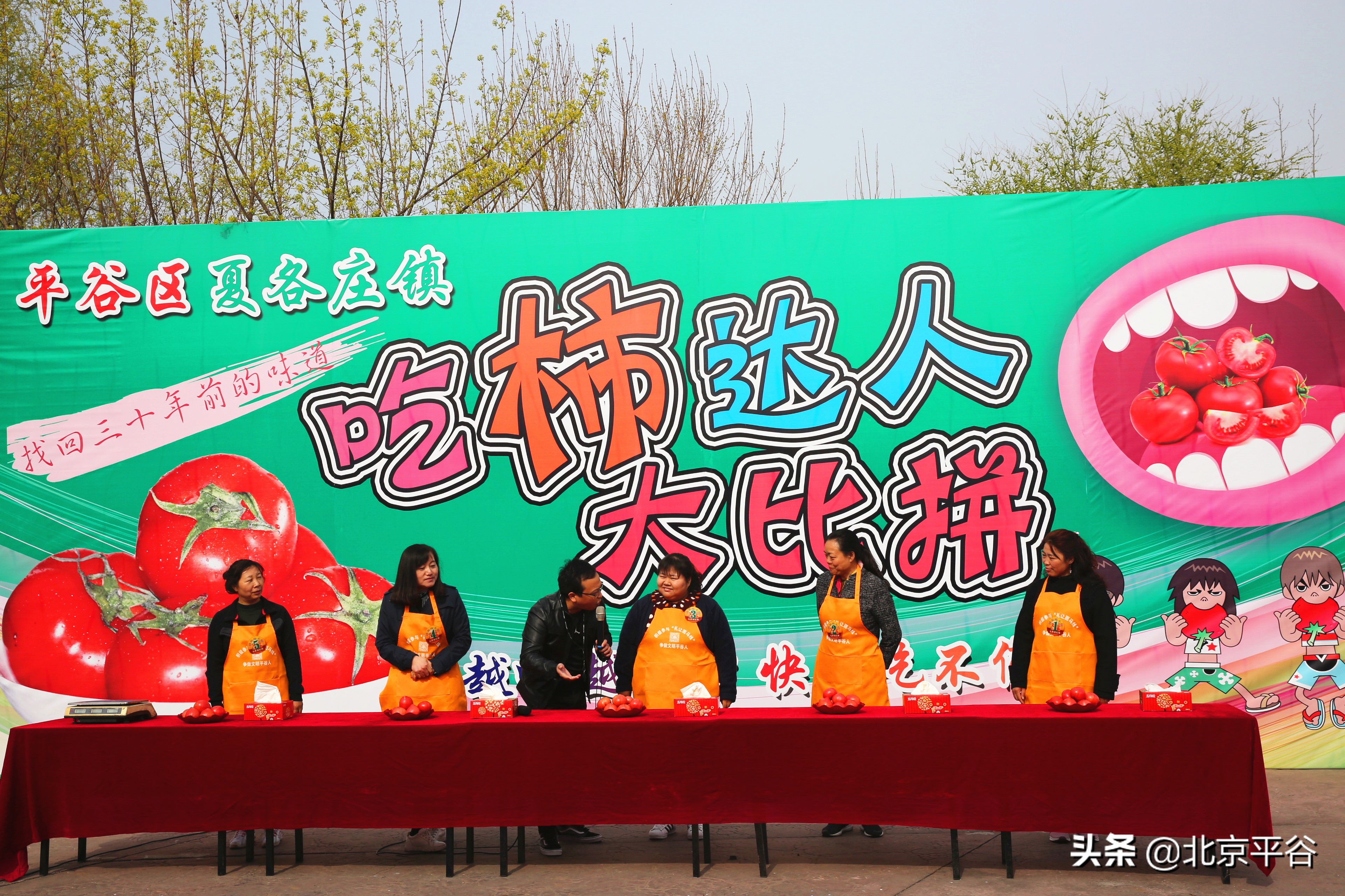 北京平谷夏各庄西红柿熟了，找回30年前老味道