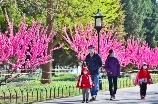 清明小长假东城接待游客166万余人次，王府井、南锣鼓巷、天坛公园游客数量排名前三