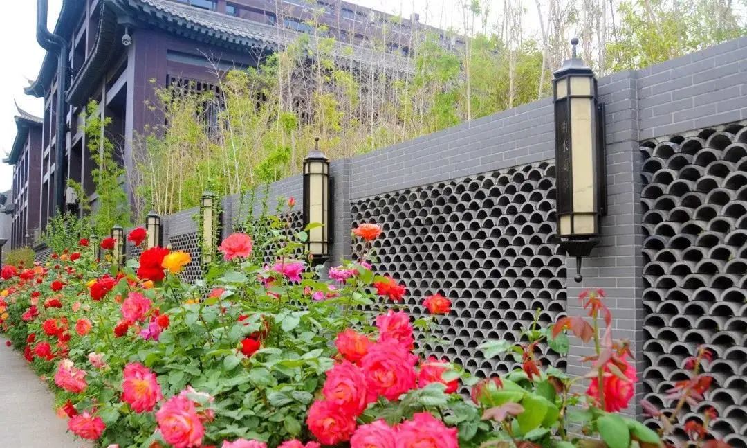 回望十三五：一村一落皆是景，美丽乡村入画来