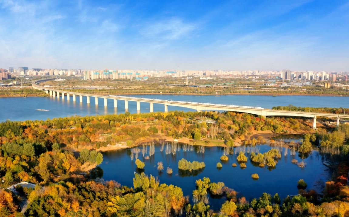 创森进行时 | 丰台新建改造提升公园绿地98处，让园林绿化“走”到居民身边