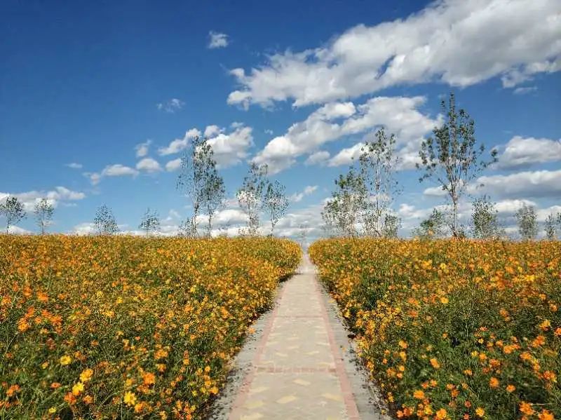 点开，带你看朝阳这五年