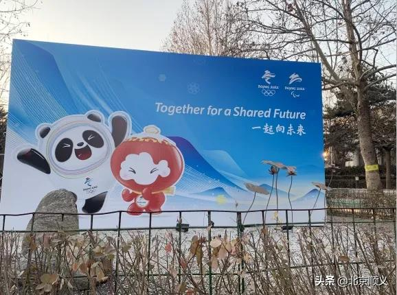 【顺顺迎冬奥】顺义区积极营造冬奥文化氛围，助力北京2022年冬奥会和冬残奥会