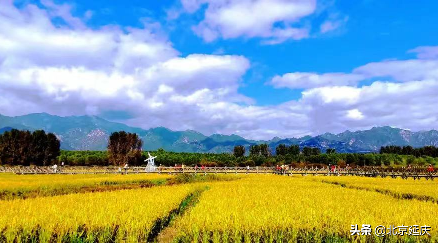 延庆区县域生态环境质量考核再创佳绩