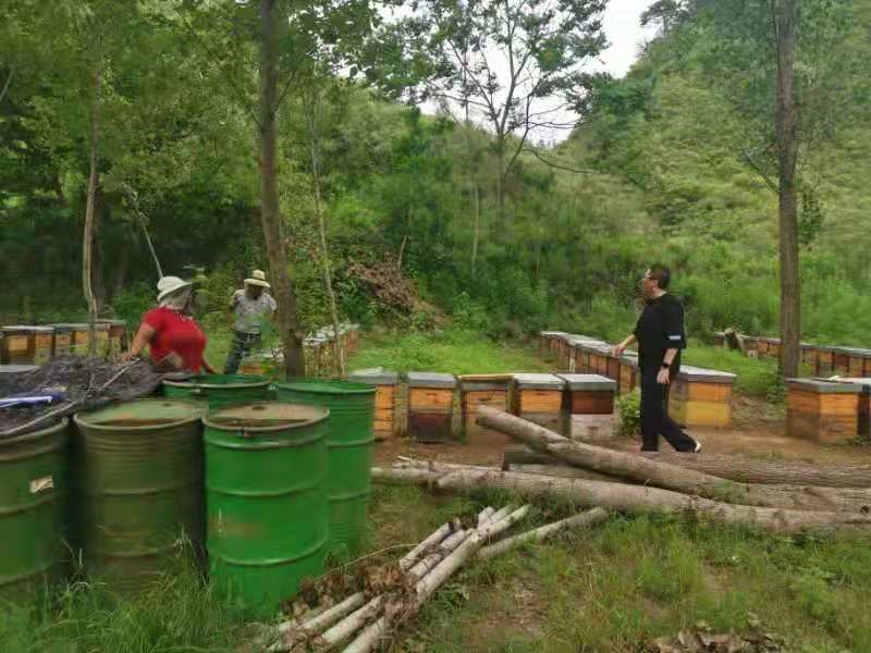 密云区不老屯镇全力做好强降雨应对工作