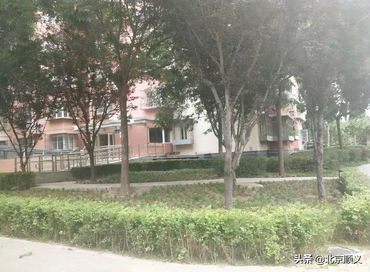 【创城有我】创文明城区，建美好家园，空港街道中粮祥云社区全力助创城~