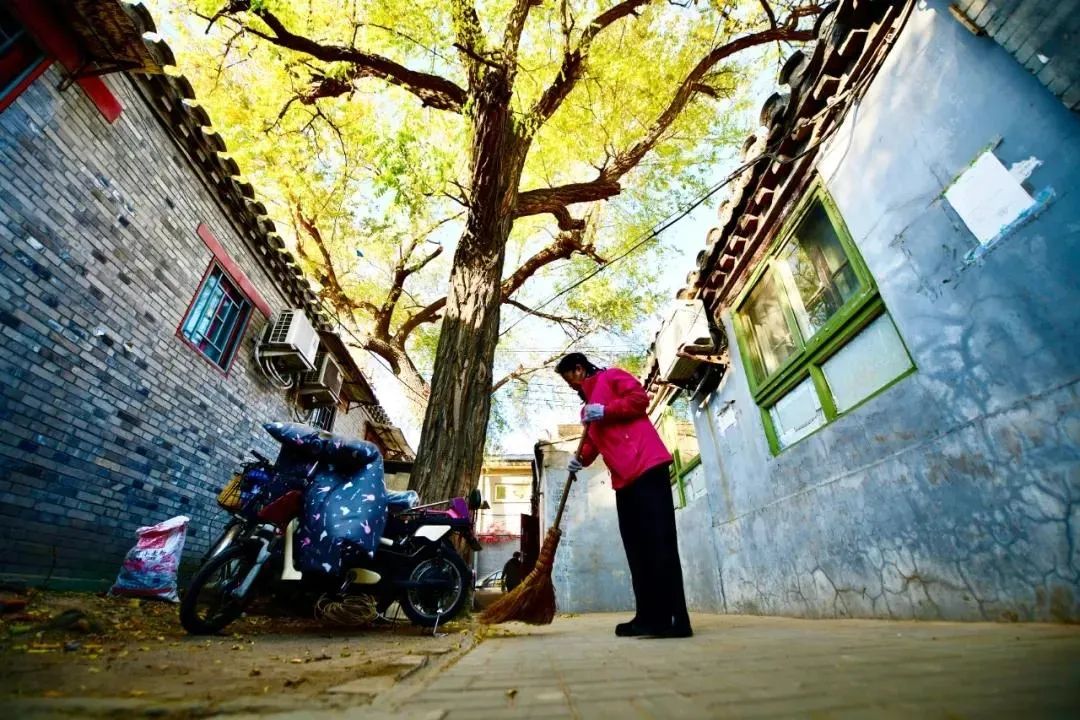 东城：书写新时代首都核心区高质量发展新答卷