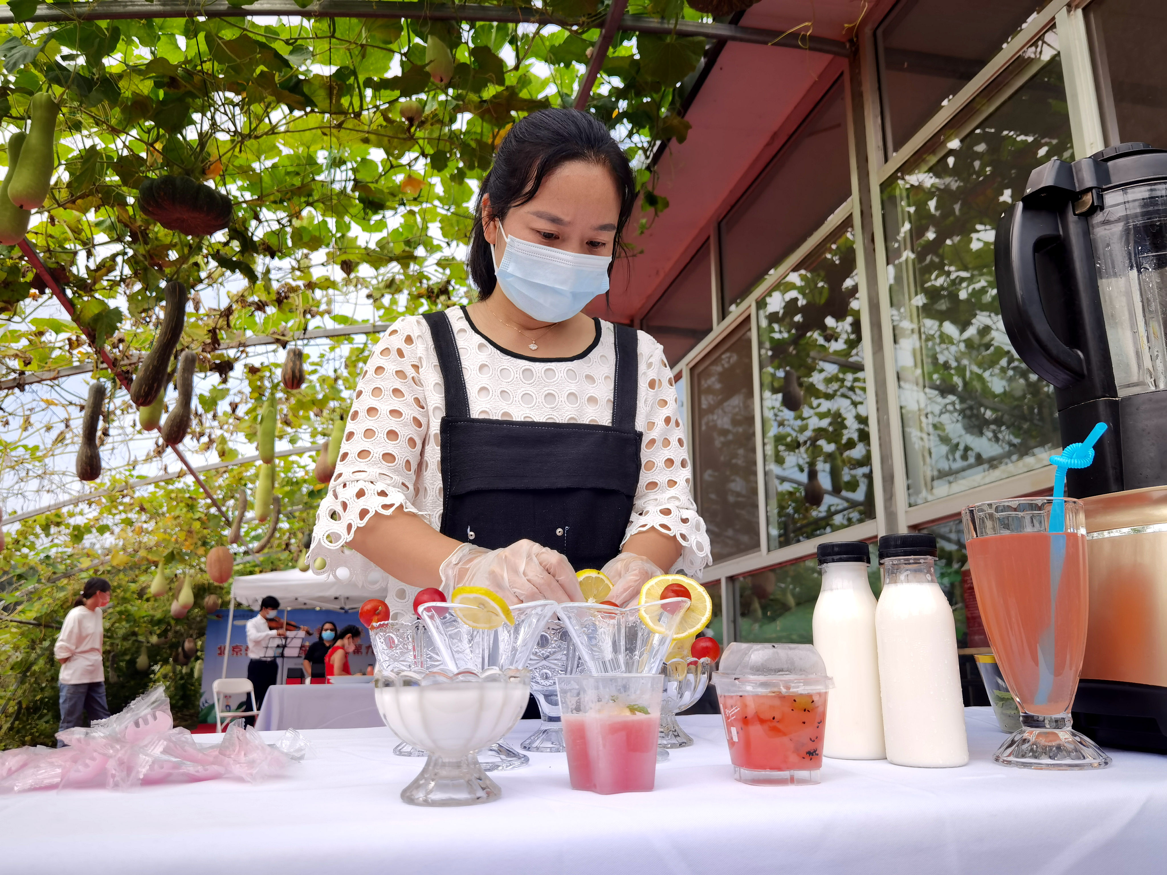 平谷区东高村镇第九届欧李节开幕 高钙欧李采摘正当时