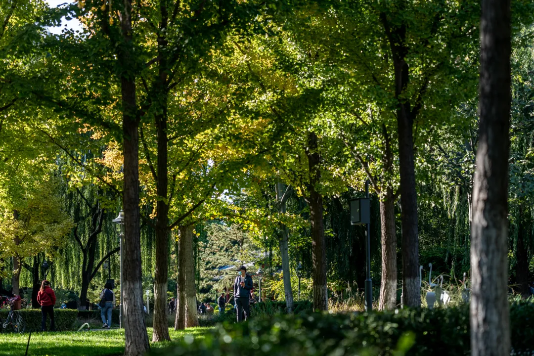 多图实拍！地坛园外园重装开园，打造全龄友好社区公园