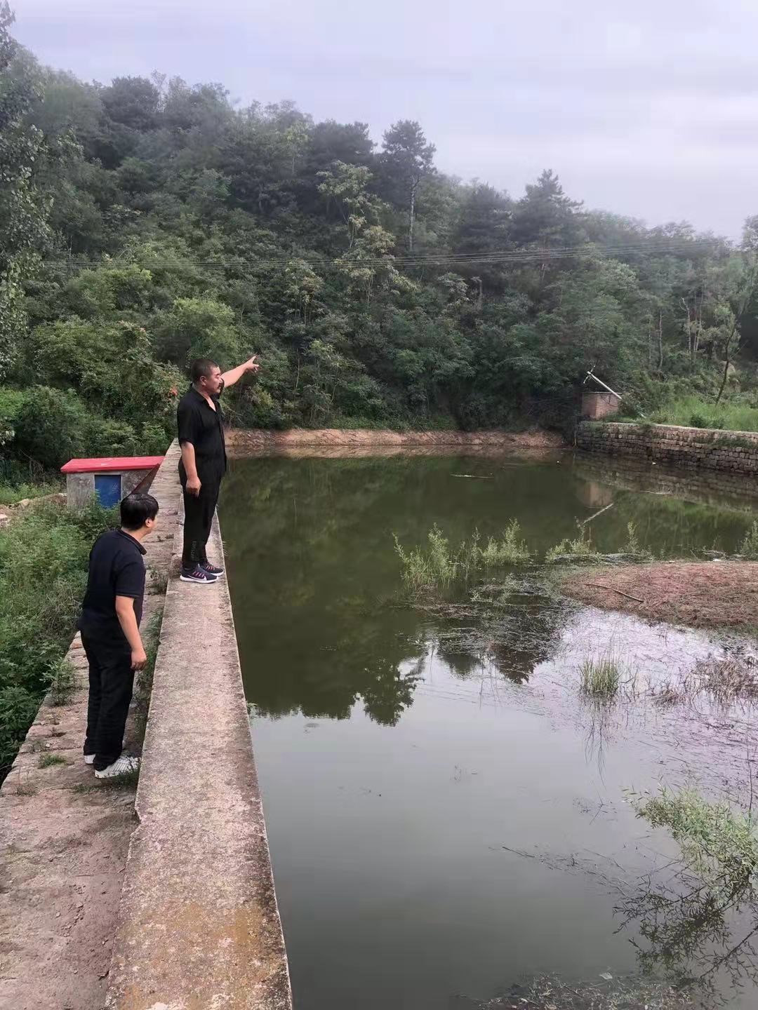 密云区不老屯镇全力做好强降雨应对工作