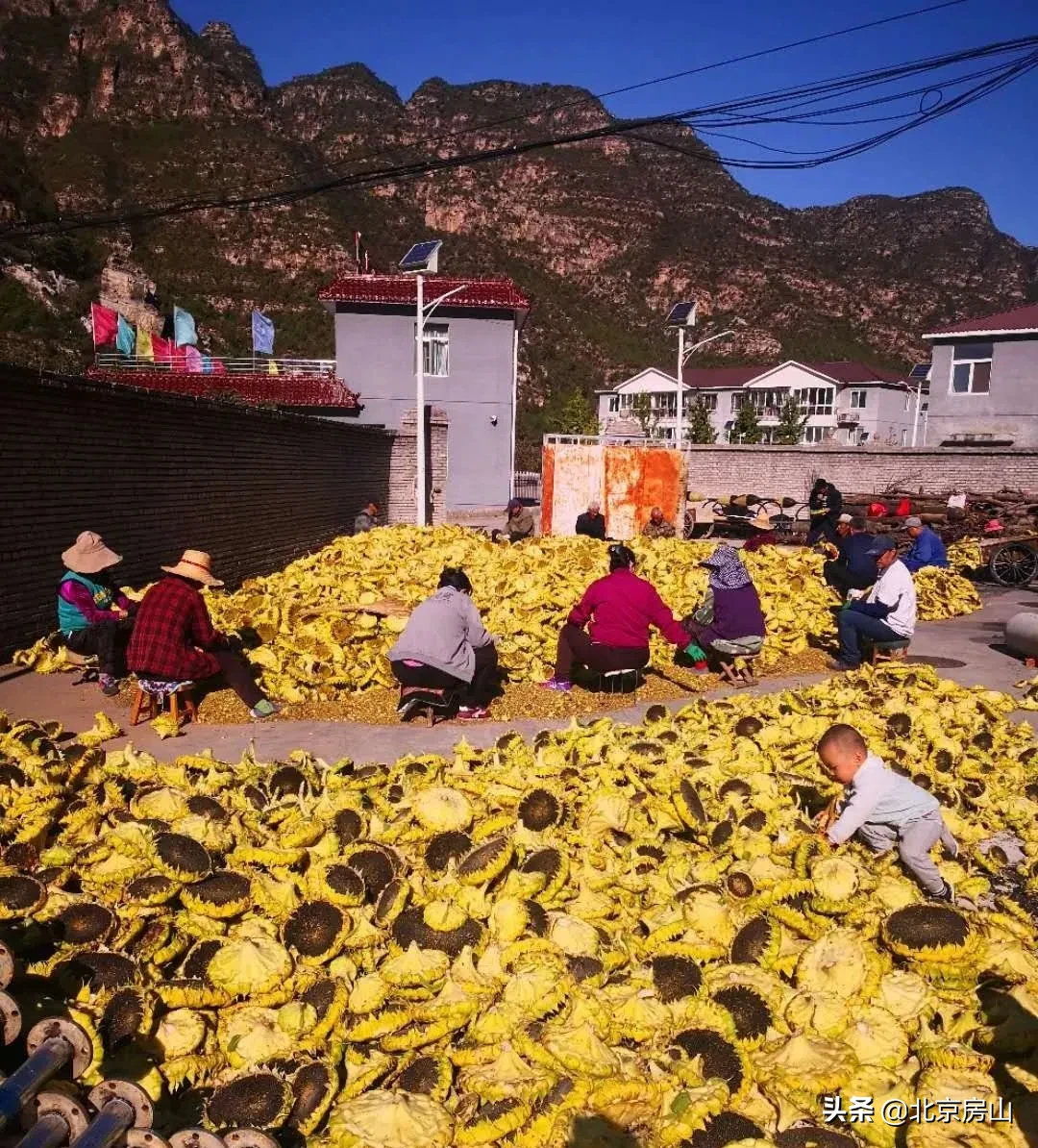 档案见证小康路，回顾房山脱低攻坚路上的光辉事迹！