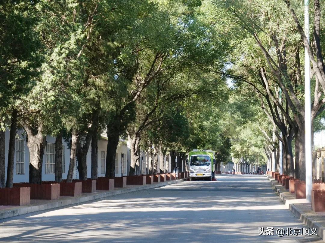 【创城有我】顺义区城管理委“三大行动”助创城惠民生！