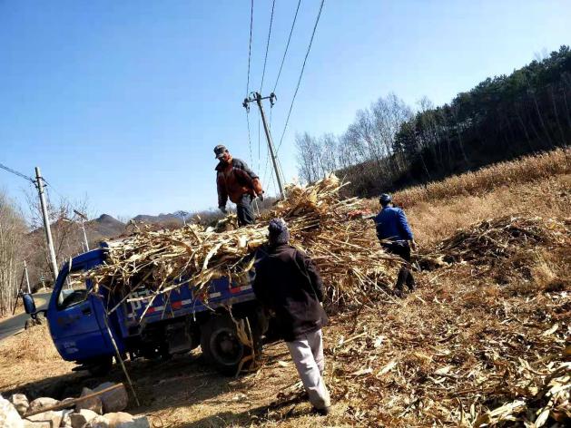 密云区新城子镇全力做好护林防火工作