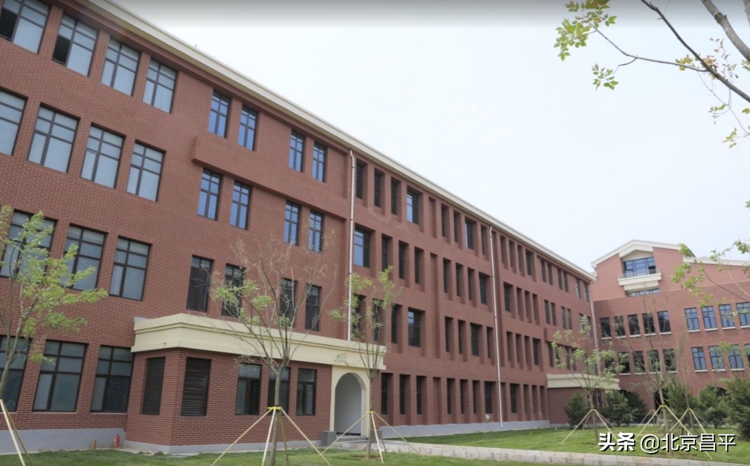 支现伟带队调研清华附中昌平学校及其西侧市政道路建设情况