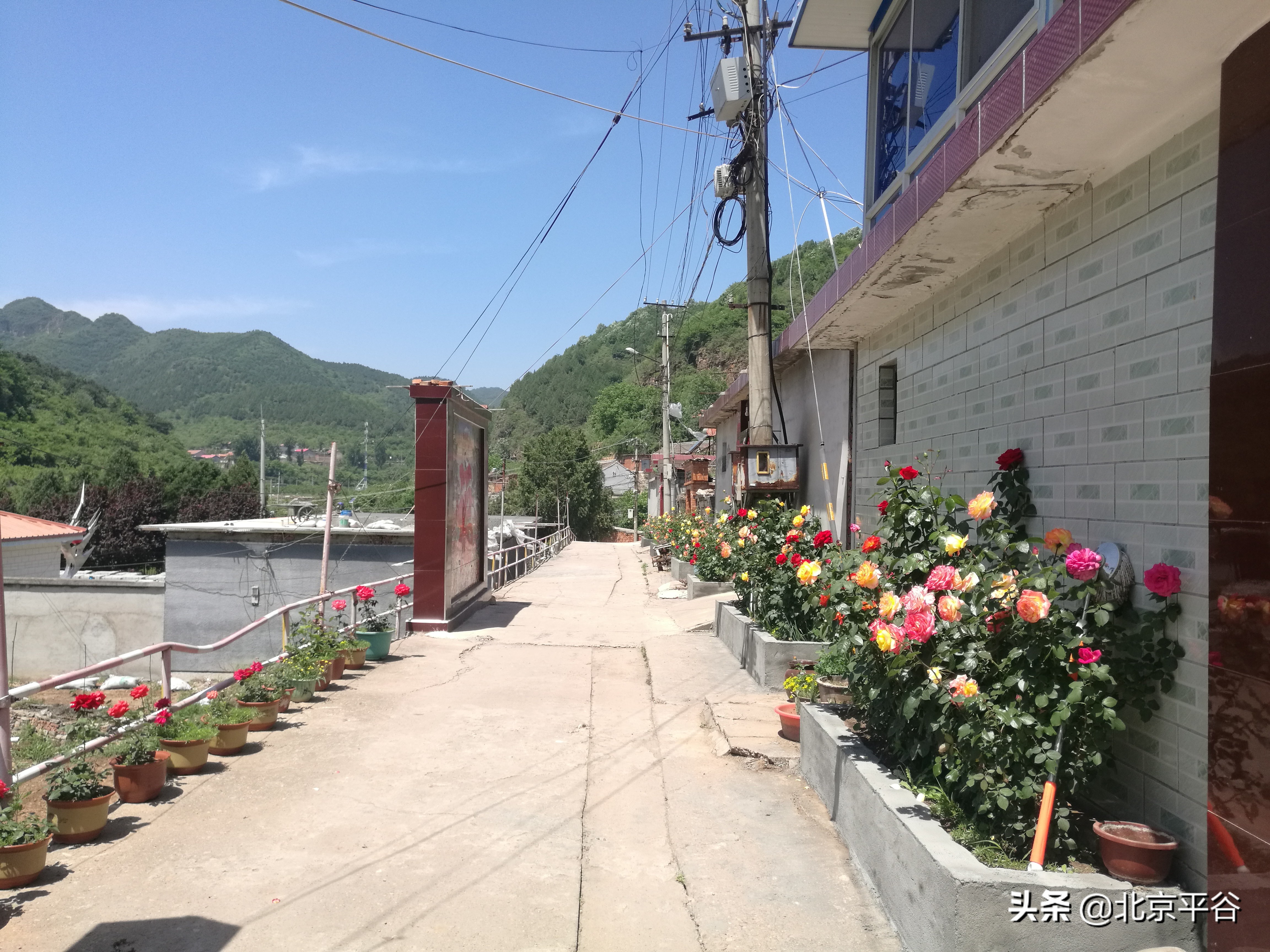 平谷梯子峪村：昔日脏乱差今朝变花园