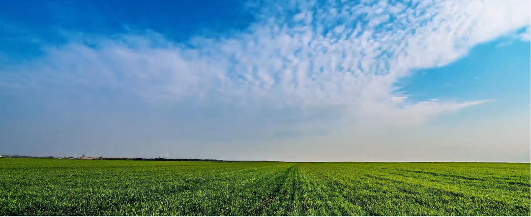 晒数据！顺义生态环境保护工作交出亮眼成绩单！