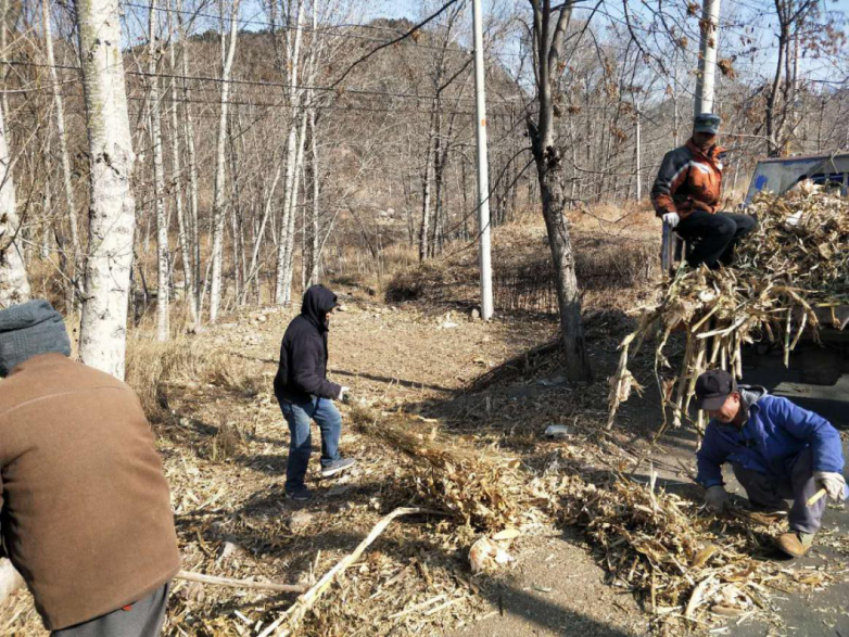 密云区新城子镇护林防火工作常抓不懈