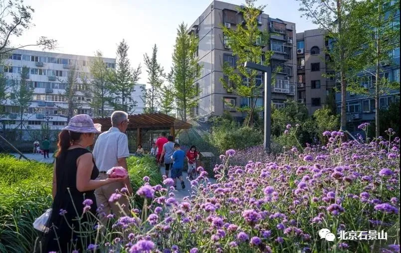 石景山：擦亮“双奥之区”名片 砥砺奋进迎蝶变 奋楫扬帆再出发