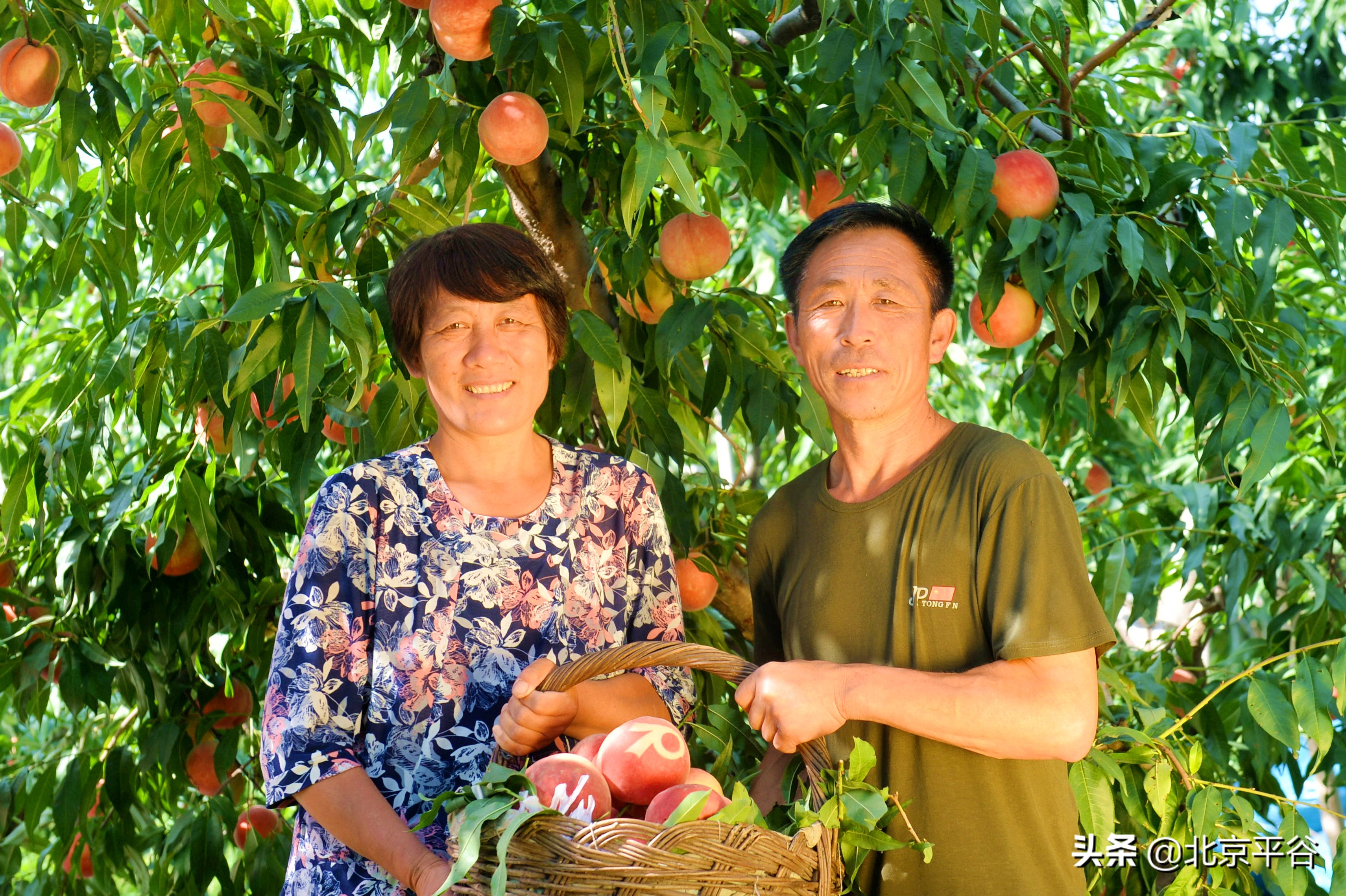 平谷乡亲为国奉礼