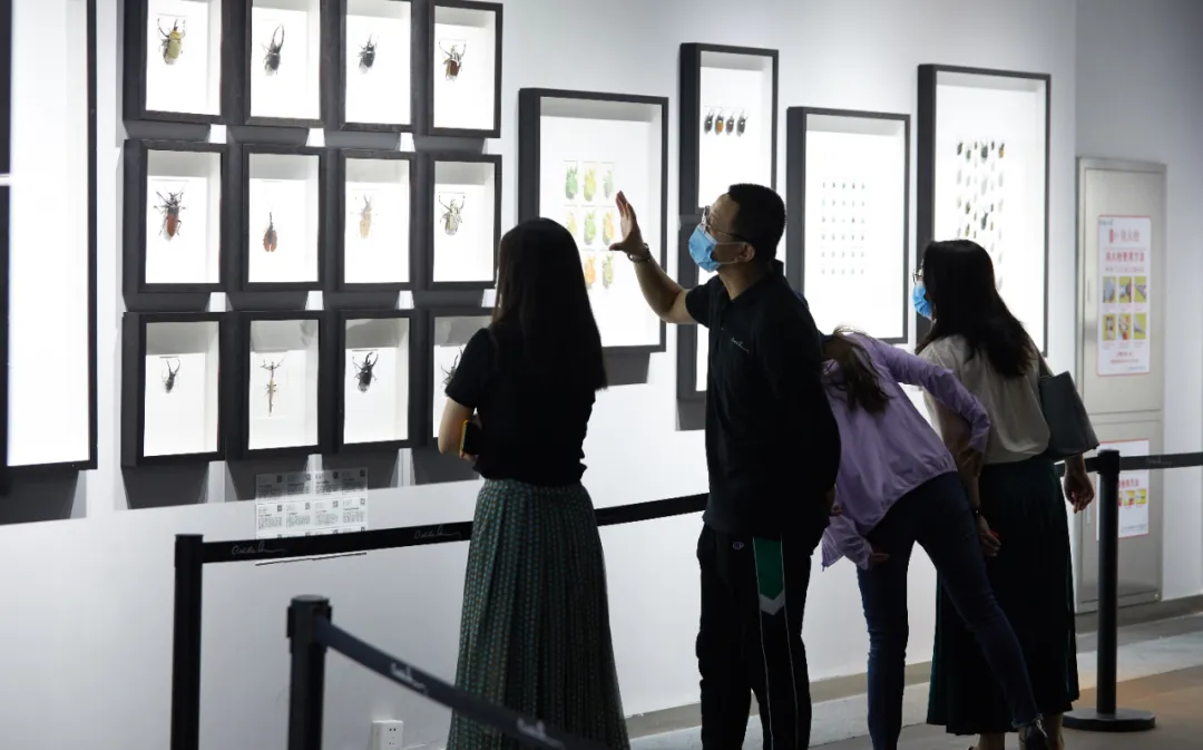 消费升温！东城各大商圈喊你燥起来！