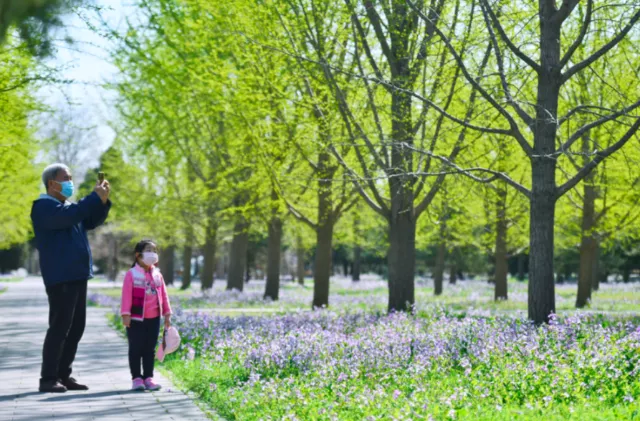 清明小长假东城接待游客166万余人次，王府井、南锣鼓巷、天坛公园游客数量排名前三