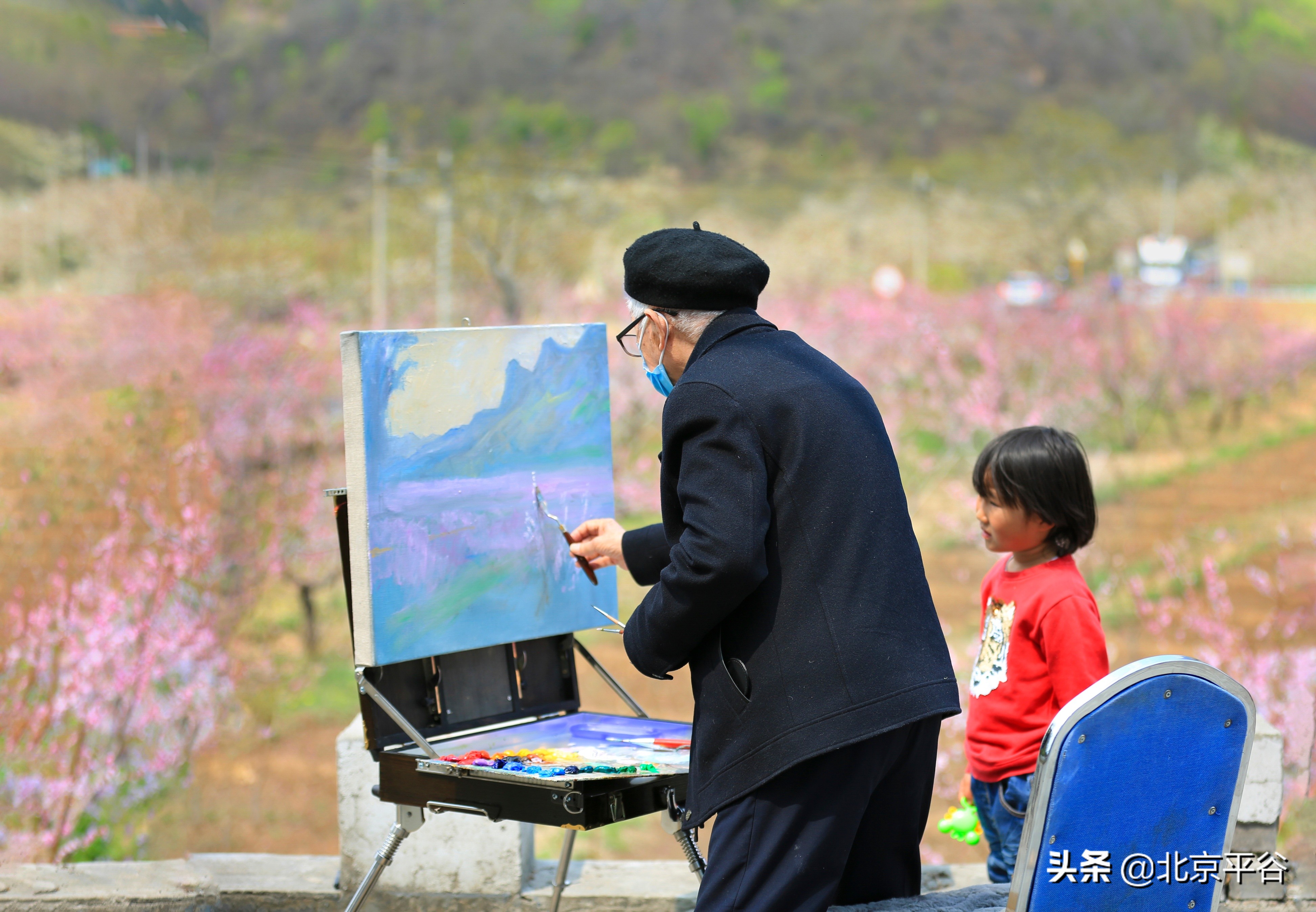 平谷携手阿里巴巴 世界级景观平谷桃花海云上绽放