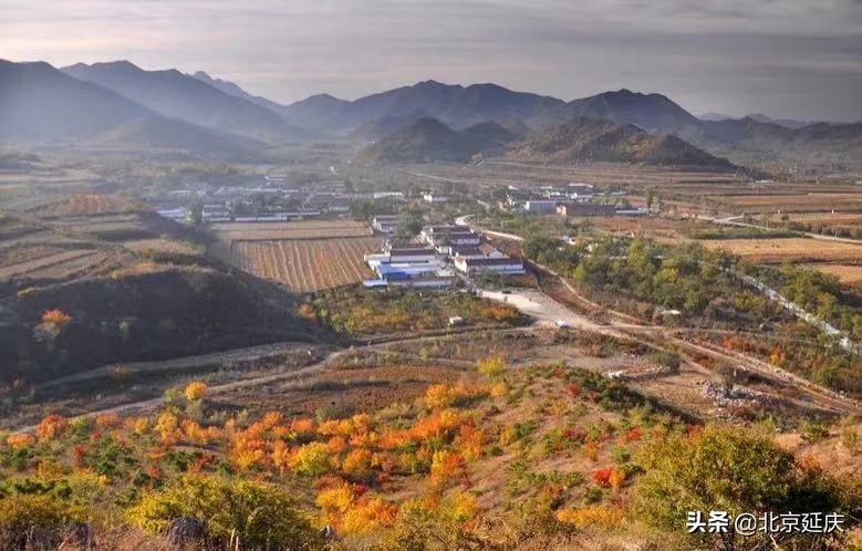 乡村旅游提质升级 延庆区上半年休闲农业与乡村旅游总收入过亿