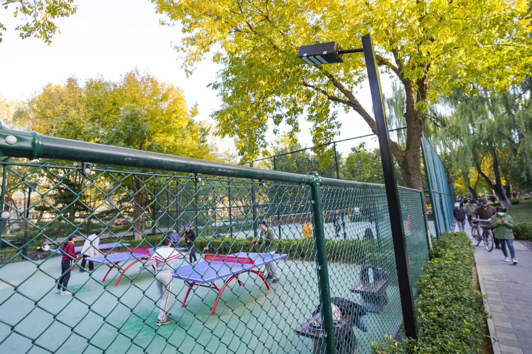 多图实拍！地坛园外园重装开园，打造全龄友好社区公园