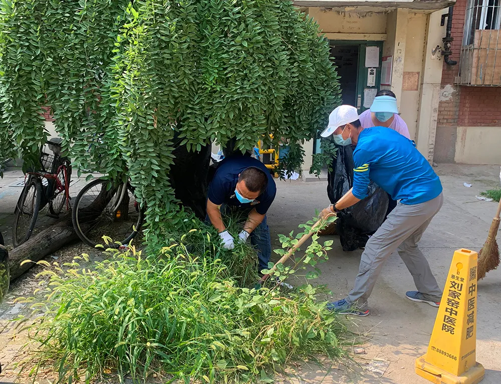 周末卫生日的“东城瞬间”