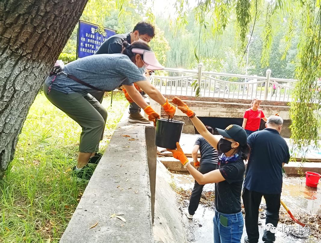 喜报！云岗街道荣获第一届“首都生态文明建设先进集体”称号