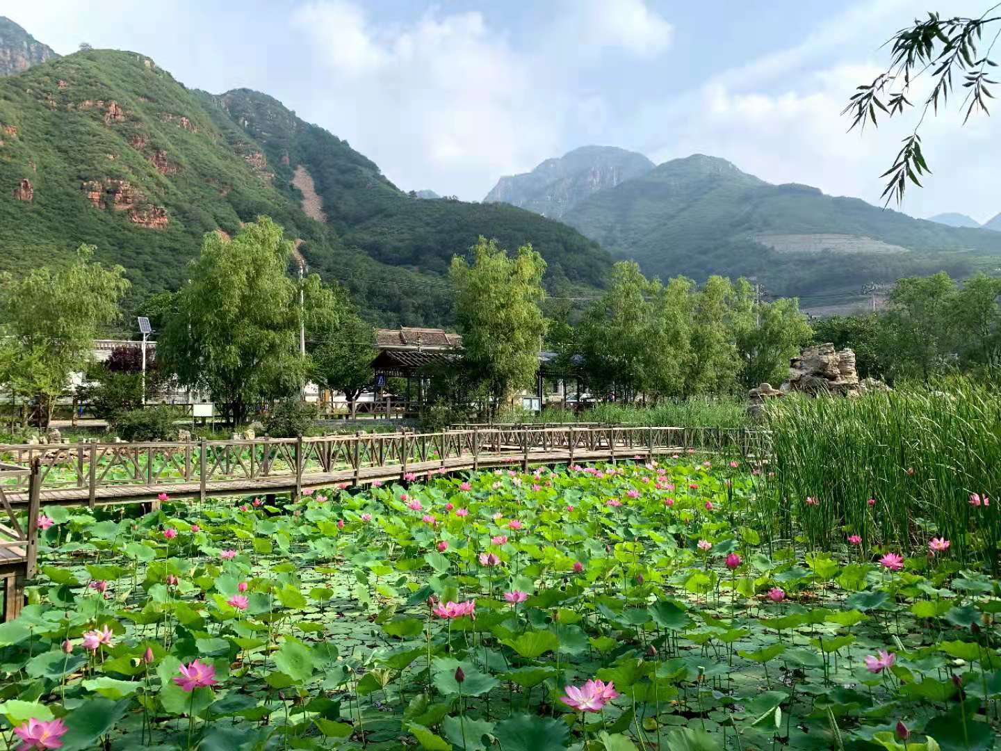 创建基本无违建区 平谷“见缝插绿”打造宜居山乡环境