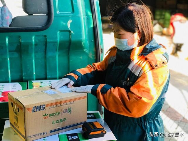 设专线、降邮费！多举措助力果农“减产不减收”