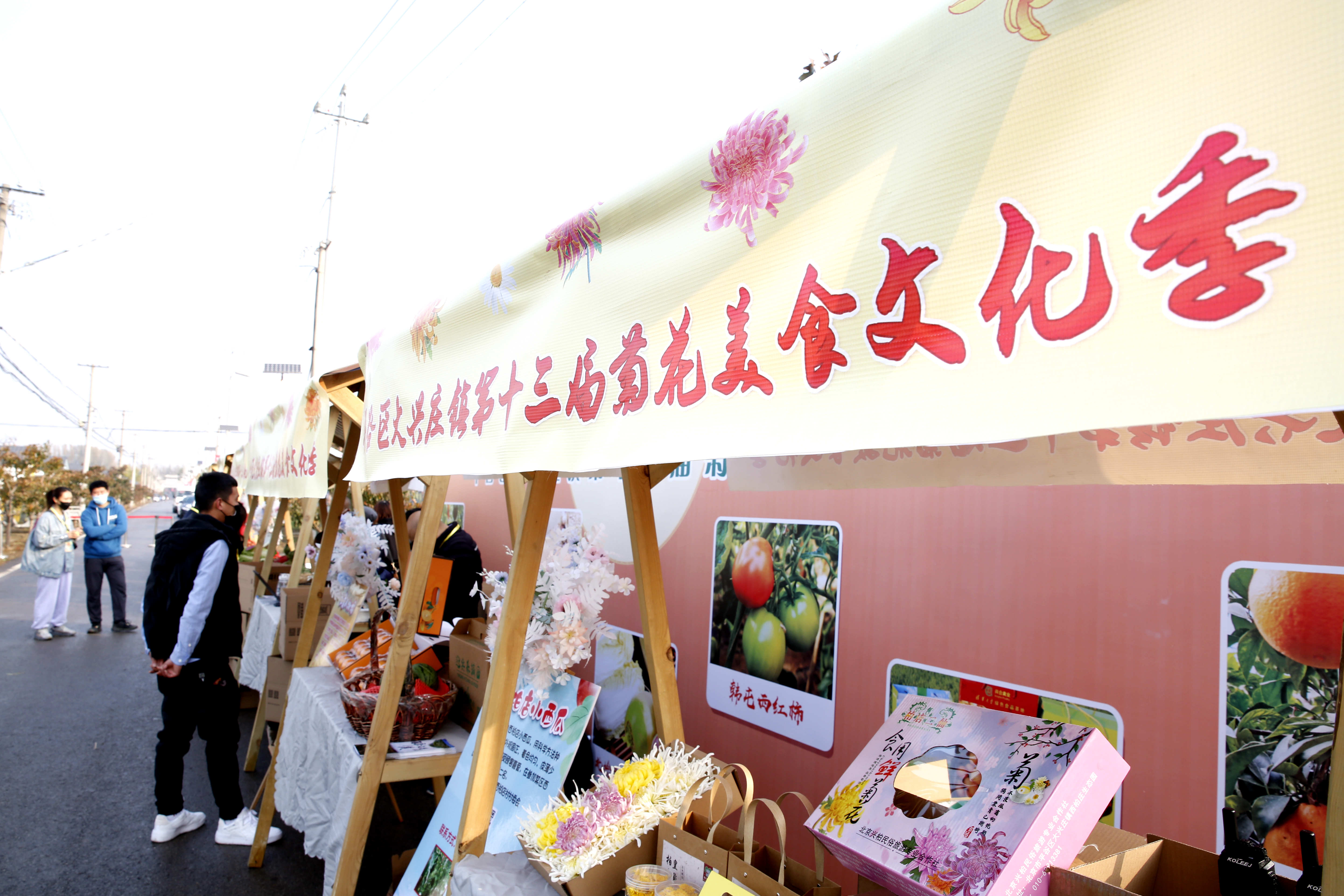 平谷区大兴庄镇迎来菊花季 300余亩食用菊花陆续上市