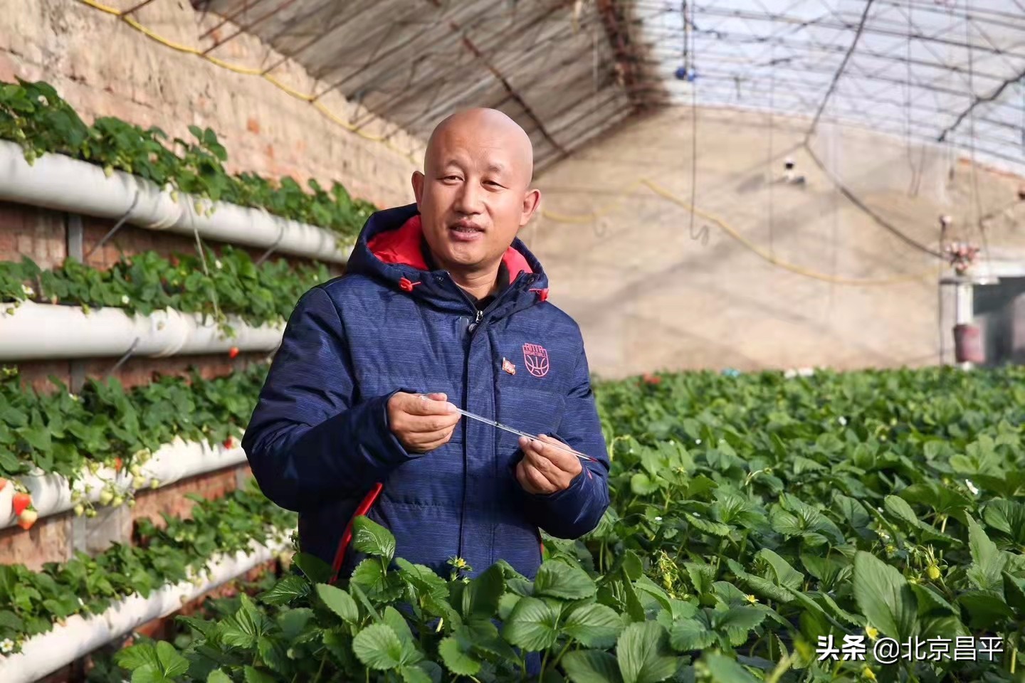 路河创新工作室：勇做农业高质量发展“急先锋”