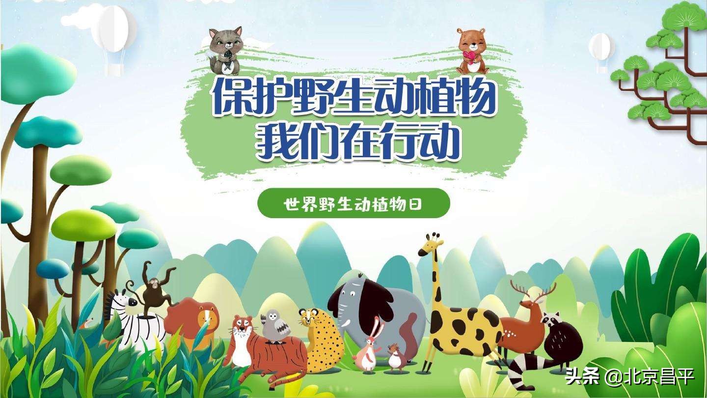 世界野生动植物日丨@昌平人，咱们一起守护珍贵的它！