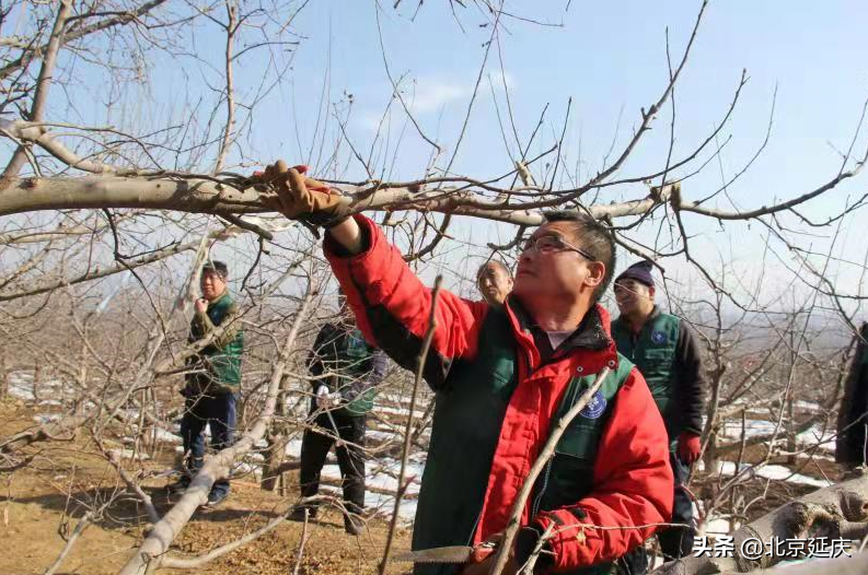 科技服务推进延庆冰雪小镇乡村振兴