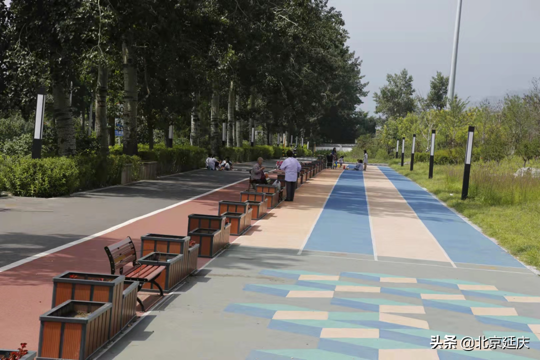 延庆区张山营镇全面提升镇域环境 服务保障冬奥会