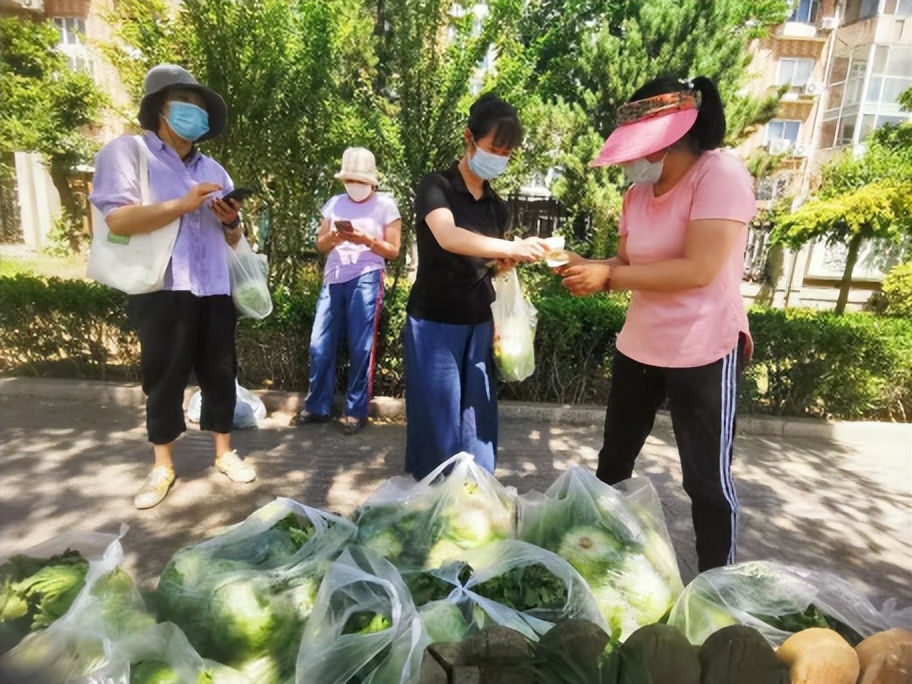 国企+市民，农户2万棵生菜2天卖完