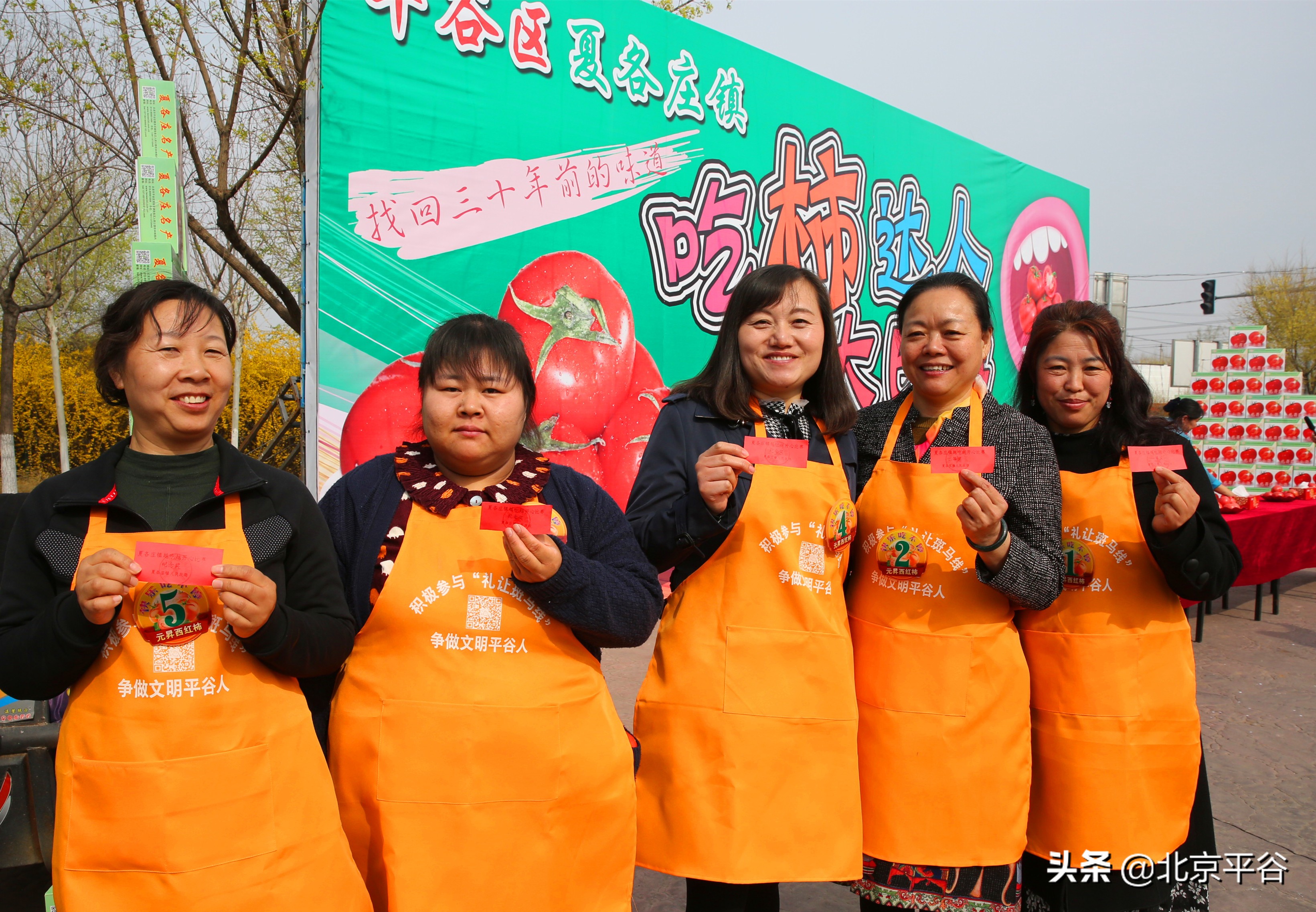 北京平谷夏各庄西红柿熟了，找回30年前老味道